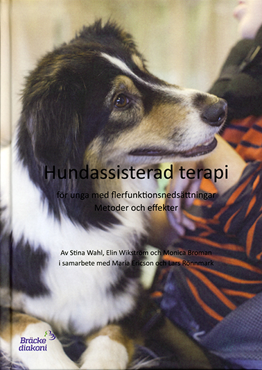 Hundassisterad terapi